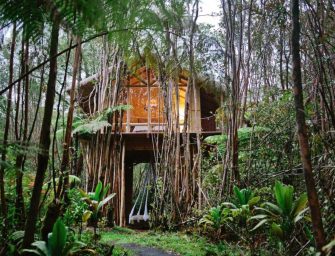 Dreamy Tropical Tree House : Une cabane nichée en pleine forêt à Hawaii