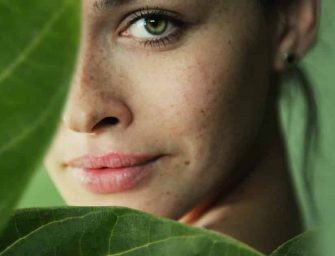 Hamamélis : La plante miracle qui va sauver notre peau