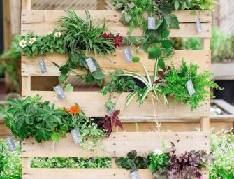 Comment réaliser une jardinière verticale avec une palette ?
