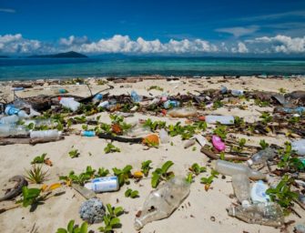 Les bonnes résolutions « Vertes » pour commencer l&rsquo;année 2021