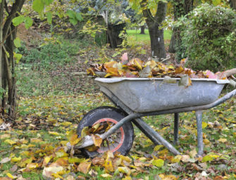 Comment faire du terreaux de feuilles ?