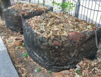 5 raisons d&rsquo;utiliser du terreaux de feuilles