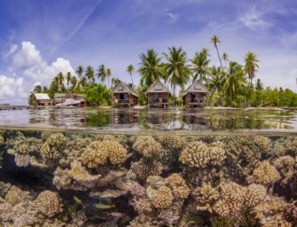 Les gagnants du concours de photographie sous-marine UPY 2019