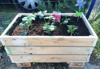 DIY : Comment faire une jardinière avec des palettes