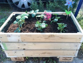 DIY : Comment faire une jardinière avec des palettes