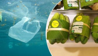 Les supermarchés thaïlandais et vietnamiens utilisent des feuilles de bananier au lieu d’emballages en plastique