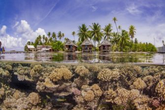 Comment les crèmes solaires tuent nos récifs coralliens ?