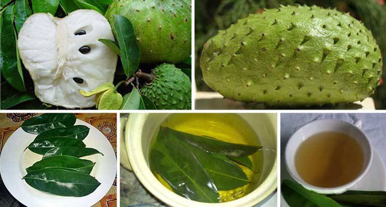 Le Corossol Un Fruit Aux Nombreux Bienfaits Moving Tahiti Le Corossol Un Fruit Aux Nombreux Bienfaits Moving Tahiti