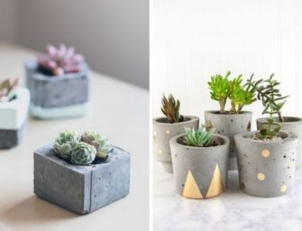 Des pots en béton pour vos succulentes