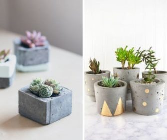 Des pots en béton pour vos succulentes