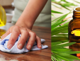 Comment réaliser un spray désinfectant aux huiles essentielles ?