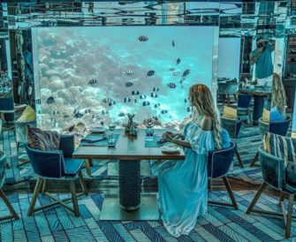 Un restaurant vous invite à dîner à côté d’une vie sous marine spectaculaire.
