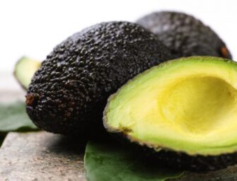 Les vertus de l’avocat