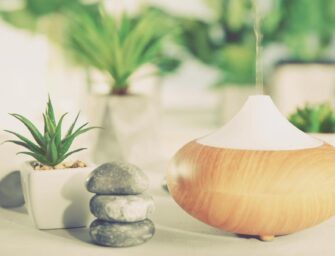Les huiles essentielles qui permettent d&rsquo;assainir l&rsquo;air de votre maison