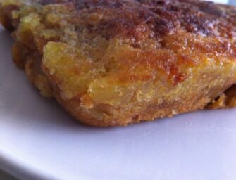 Le meilleur gâteau aux pommes du monde