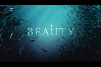 The Beauty : Un court-métrage d’animation impressionnant transforme les déchets plastiques en vie aquatique.