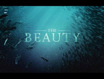 The Beauty : Un court-métrage d’animation impressionnant transforme les déchets plastiques en vie aquatique.