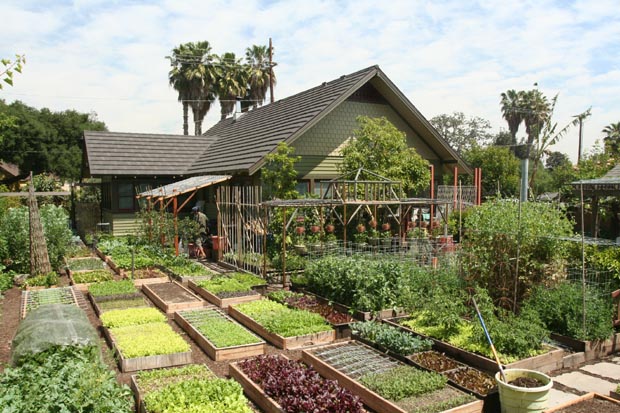 permaculture1