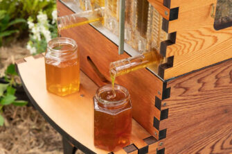 La  » Flow Hive « , une invention innovante pour récolter le miel
