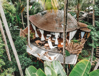 Une maison dans les arbres à Bali