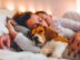 10 raisons pour lesquelles les chiens sont les meilleurs amis de l&rsquo;homme