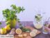 Eau de Sassy : la recette de cette boisson brûle-graisse qui promet un ventre plat