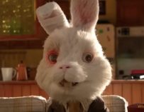 L’acteur Taika Waititi est un lapin cobaye dans ce court-métrage bouleversant
