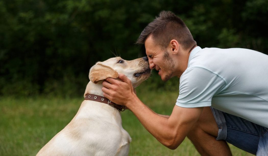 Quand un chien devient votre meilleur ami : L’histoire de Maxime et Rocky