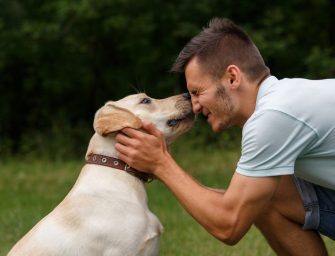 Quand un chien devient votre meilleur ami : L’histoire de Maxime et Rocky