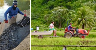 Crevettes locales ou importées : savez-vous vraiment ce que vous mangez ?