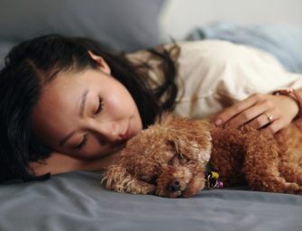 Dormir avec son chien : un tabou qui fait débat… surtout en Polynésie