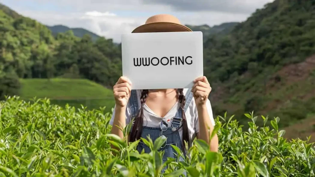 wwoofing-definition-1-1280×720