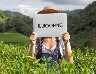 Woofing : voyager, travailler et se reconnecter à l’essentiel