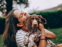 Adoption, famille d’accueil : et si le chien avait aussi son mot à dire ?