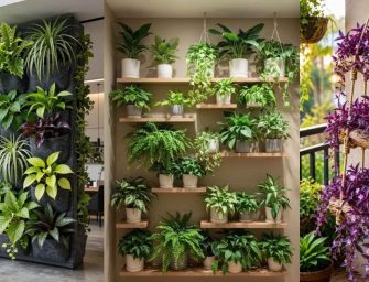 Mur végétal intérieur : la nature devient décoration