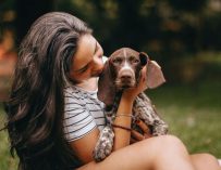Animaux à Tahiti : derrière les abandons, une immense chaîne de solidarité
