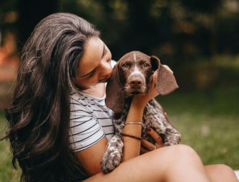 Animaux à Tahiti : derrière les abandons, une immense chaîne de solidarité